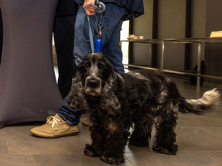  - in Lightbox öffnen