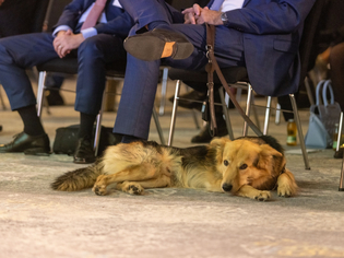  - in Lightbox öffnen