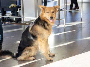  - in Lightbox öffnen